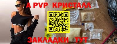 Альфа ПВП Малгобек